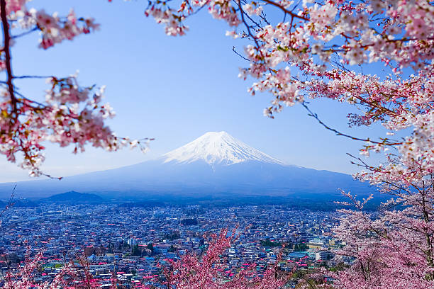 istock Mt. Fuji With Cherry Blossom (Sakura )in Spring, Fujiyoshida, Ja 625330400