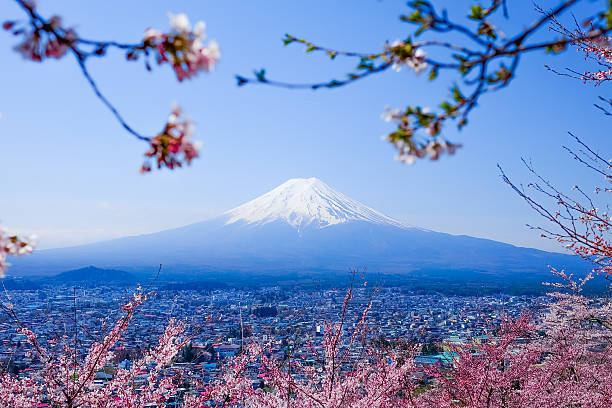 istock Mt. Fuji With Cherry Blossom (Sakura )in Spring, Fujiyoshida, Ja 625330532