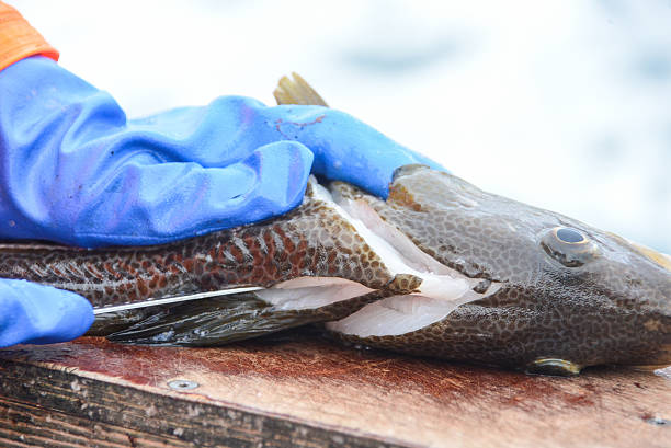 istock Filet of a fish on boat with gloves 625330836