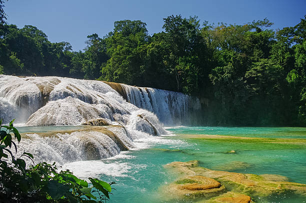 Blue Water waterfalls. Blue Water. Yucatan. Mexico Agua Azul waterfalls. Blue Water. Yucatan. Mexico agua volcano photos stock pictures, royalty-free photos & images