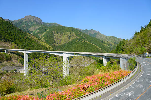 istock Raiden Todoroki Bridge in Chichibu, Saitama, Japan 625371036