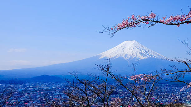 istock Mt Fuji and Cherry Blossom  in Japan Spring Season 625373386