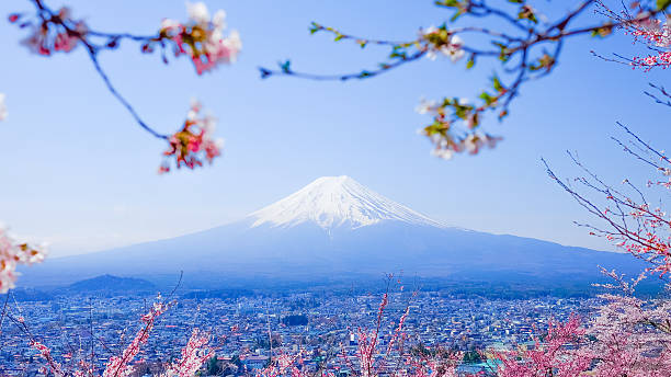 istock Mt. Fuji With Cherry Blossom (Sakura )in Spring, Fujiyoshida, Ja 625375742