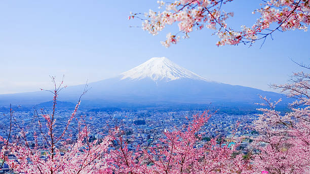istock Mt. Fuji With Cherry Blossom (Sakura )in Spring, Fujiyoshida, Ja 625375818