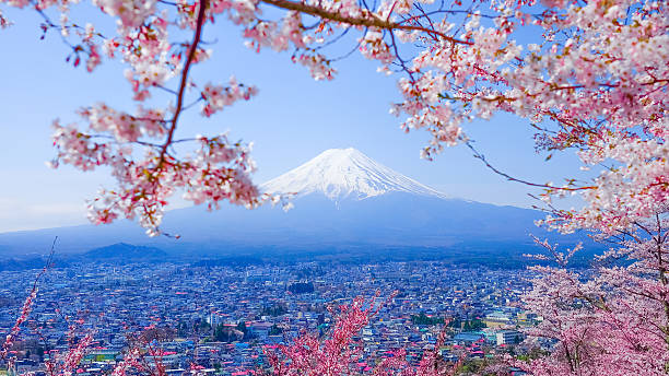 istock Mt. Fuji With Cherry Blossom (Sakura )in Spring, Fujiyoshida, Ja 625375914