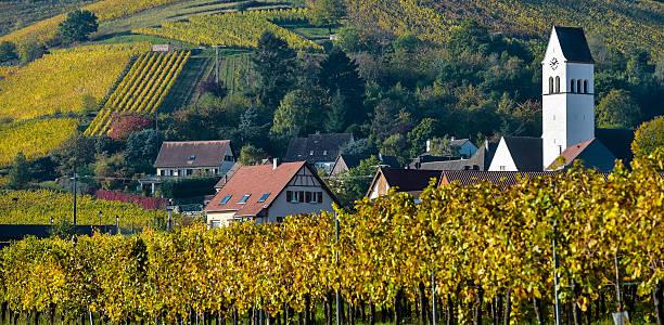 istock Katzenthal in the vineyard of Alsace 625377290