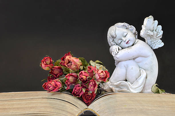 istock Sleeping angel and roses on old book 625377306