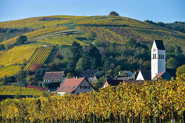 istock Katzenthal in the vineyard of Alsace 625377348