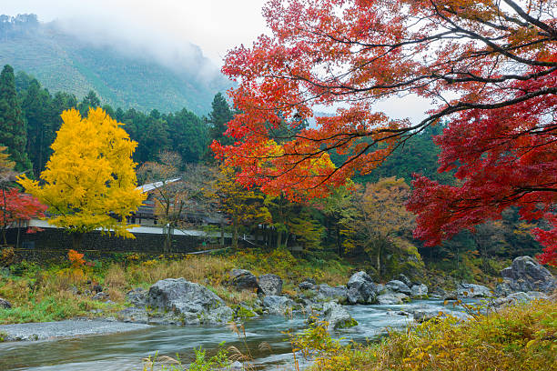 istock autumn in Miyake-George Japan 625380148