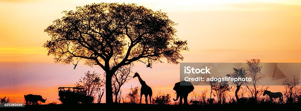 African Safari Silhouette Banner Silhouette of African safari scene with animals and vehicle Safari Stock Photo