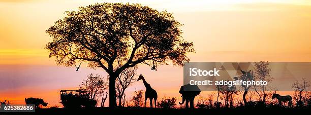 African Safari Silhouette Banner Stock Photo - Download Image Now - Safari, South Africa, Africa