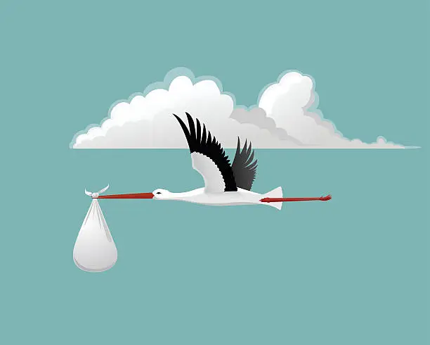 Vector illustration of Stork with baby