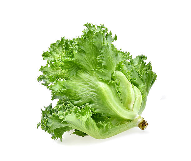 istock green frillies iceberg lettuce isolated on white background 625383766