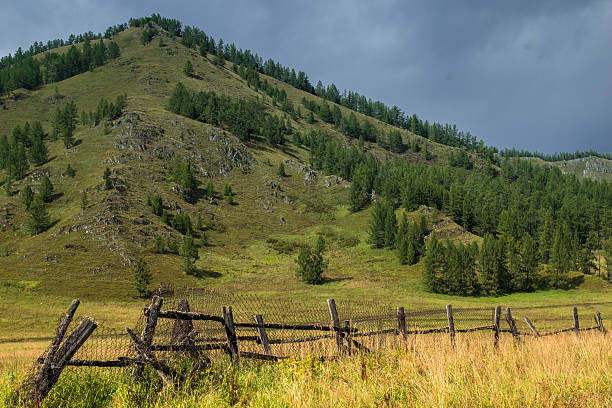 istock Altai mountain, Russia 625384068