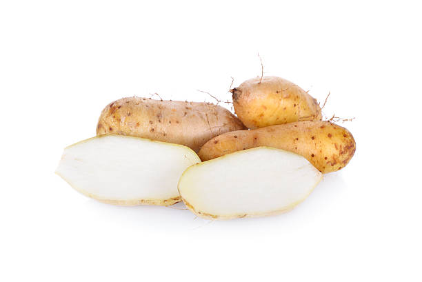 istock raw potato Dioscorea  burmanica or 
