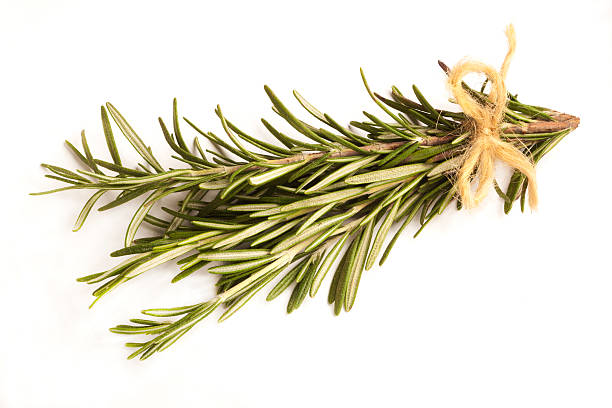 istock Rosemary tied in a bunch, isolated against white 625388456