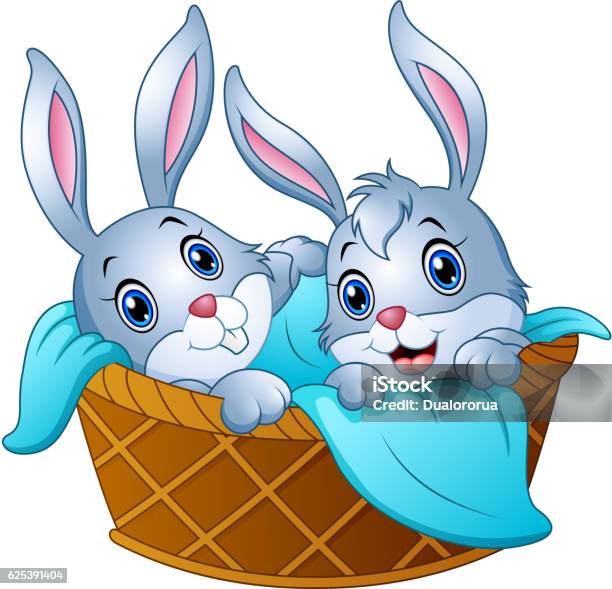 Baby Bunny In A Basket With A Towel Stock Illustration - Download Image Now - Animal, Animal Wildlife, Animals In The Wild