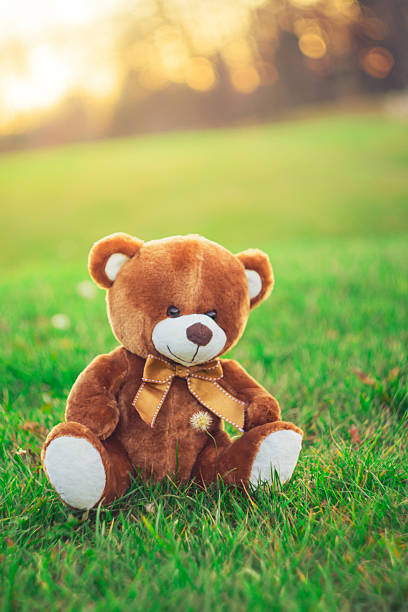 istock teddy bear sitting on grass field in beautiful day 625392600