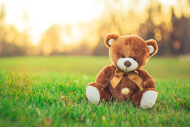 istock teddy bear sitting on grass field in beautiful day 625392610