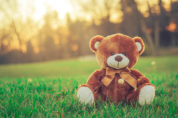istock teddy bear sitting on grass field in beautiful day 625392640