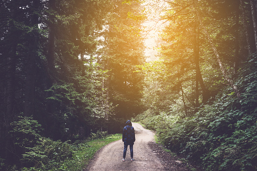 Traveler wearing a raincoat, standing on the road in the forest. Sun shining between trees.