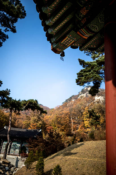 istock Tempe in Autumn, Korea 625395126