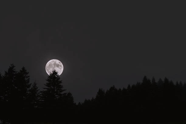 Night sky with a bright full moon. Landscape of night sky