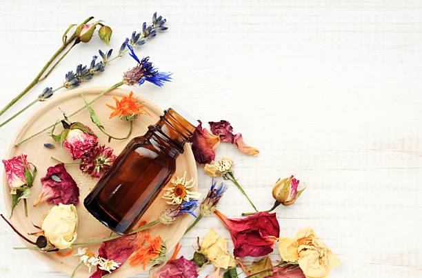 istock Herbal pharmacy.Botanical cosmetic ingredients, aromatherapy background. 625397482
