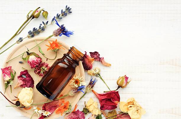 Herbal pharmacy.Botanical cosmetic ingredients, aromatherapy background. Various bright medicinal herb plant on wooden plate, essential oil extract bottle, top view.  aromatherapy stock pictures, royalty-free photos & images
