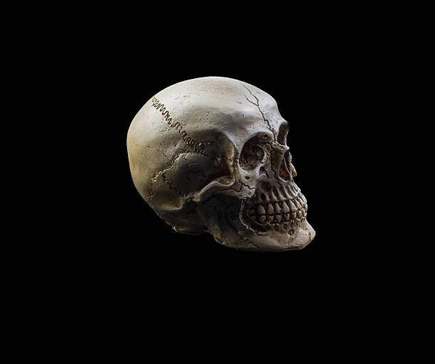 istock human skull on isolated black background 625406074