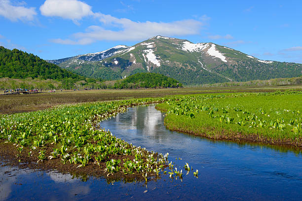 Ozegahara and Mt. Shibutsu in early summer in Gunma, Japan Ozegahara and Mt. Shibutsu in early summer in Gunma, Japan gunma prefecture stock pictures, royalty-free photos & images