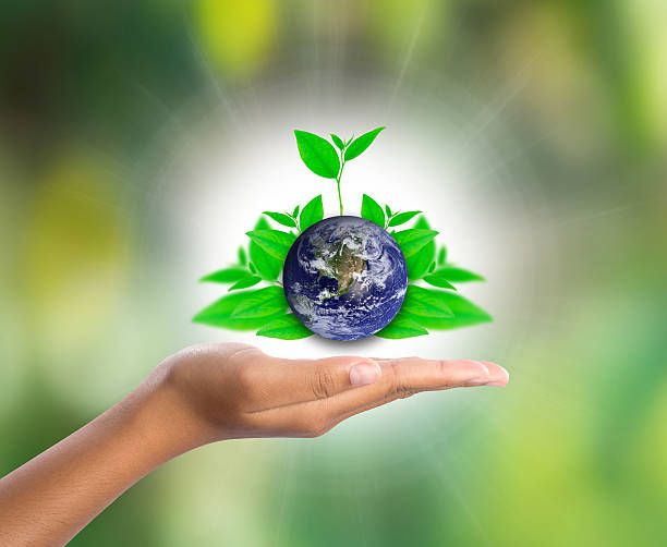 istock Earth on hand with green leaf, elements of this image 625410424