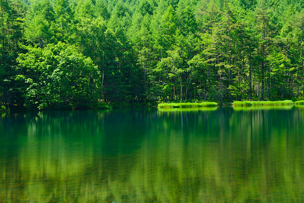 istock Mishaka Pond in Nagano, Japan 625410840
