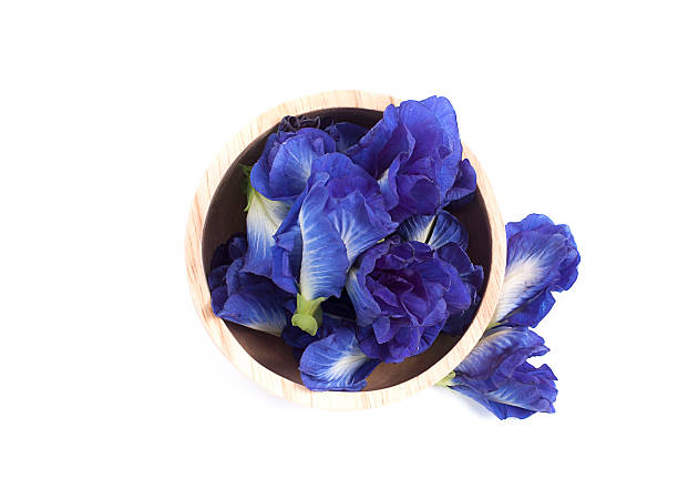 istock Blue pea butterfly pea close up background 625410862