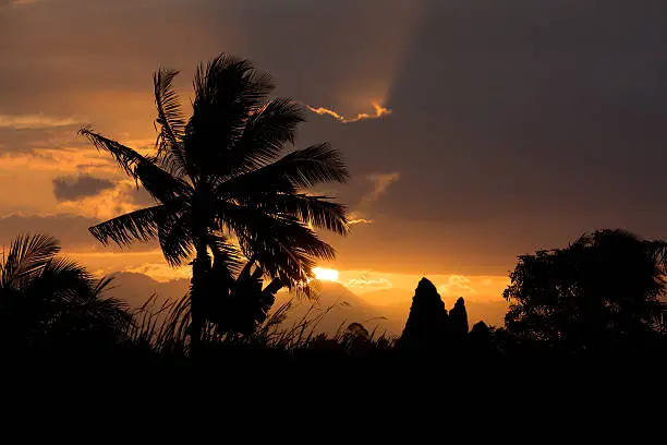 Coconut-tree palm silhouette and sunset over the river Antainambalana in Maroantsetra, Toamasina province, Madagascar. Wilderness virgin nature scene