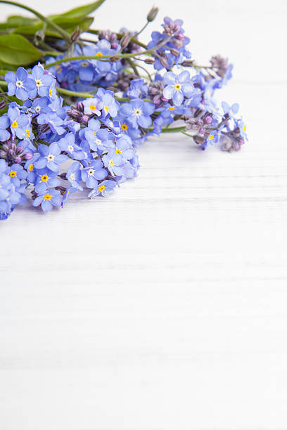 istock blue flowers frame on white wooden background 625424290