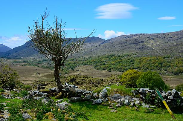 istock Green Irish landscape, county Kerry 625432050