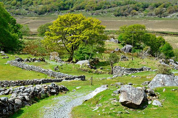istock Green Irish landscape, county Kerry 625432588