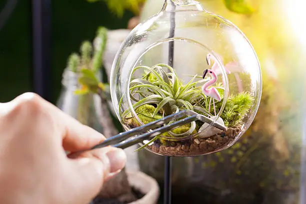 Terrarium garden scene in glass ball shape with Tillandsia, pebbles and flamingo toy inside and stainless forceps to decorate