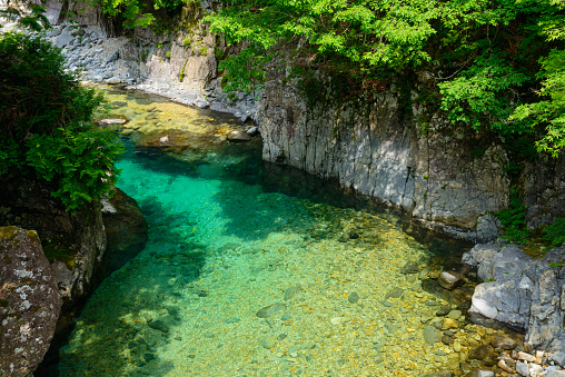 Crystal clear water at a small pond hidden in the wilderness of the Plitvice Lakes National Park.\nPlitvička Jezera, Croatia - June 25th 2019 - Official photography permission obtained by the Plitvice Lakes National Park and available on request.