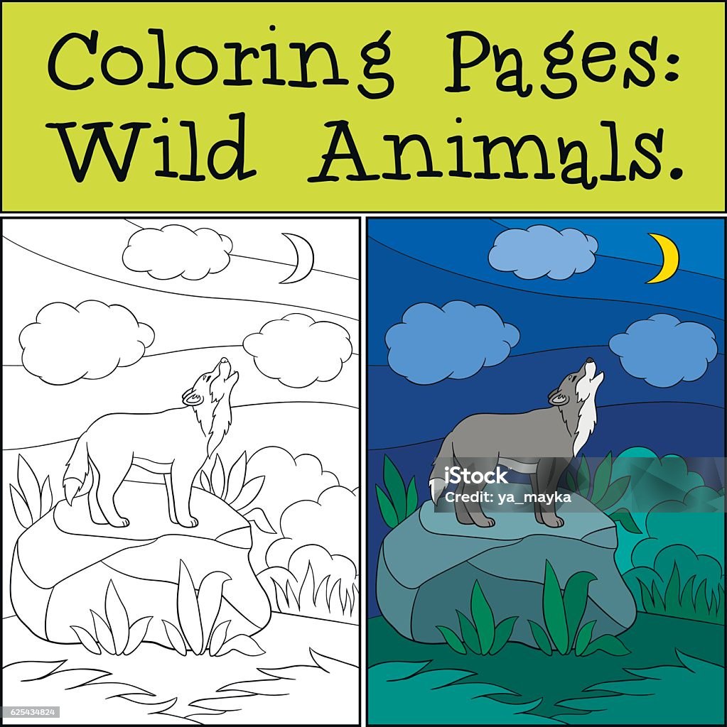Coloring Pages: Wild Animals. Beautiful wolf howling at the moon Coloring Pages: Wild Animals. Cute beautiful wolf stands on the stone and howling at the moon. Animal stock vector