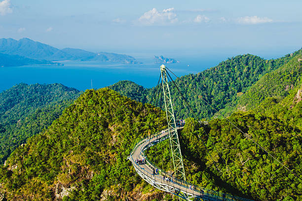 놀라운 항공 풍경 다리. 모험 휴가. 여행 컨셉. 안다만 해 - tropical rainforest elevated walkway pulau langkawi malaysia 뉴스 사진 이미지