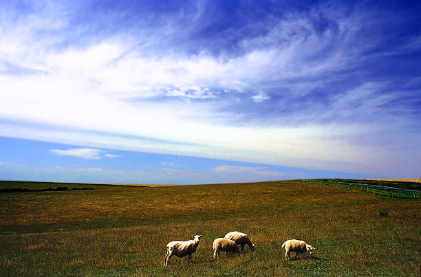 istock south downs sussex uk 625438774