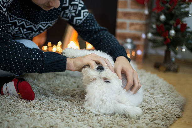 istock boy playing with the dog in front of the fireplace 625439726