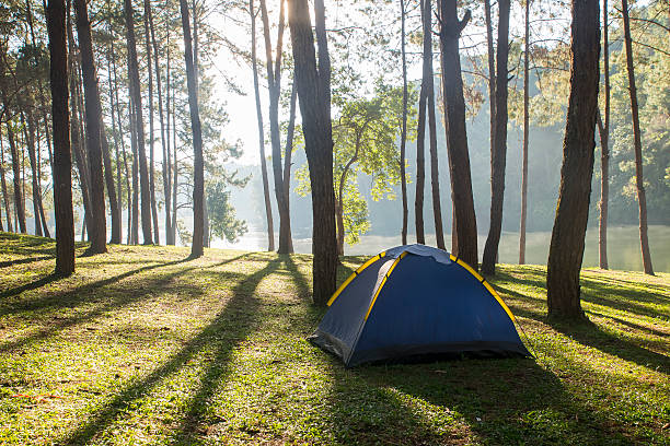 istock Tents in the autumn forest on a sunny day 625441792