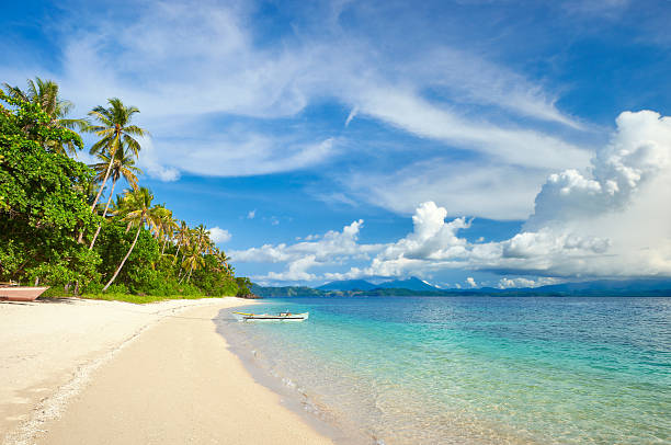 istock tropical beach with palm and turquoise sea 625451166