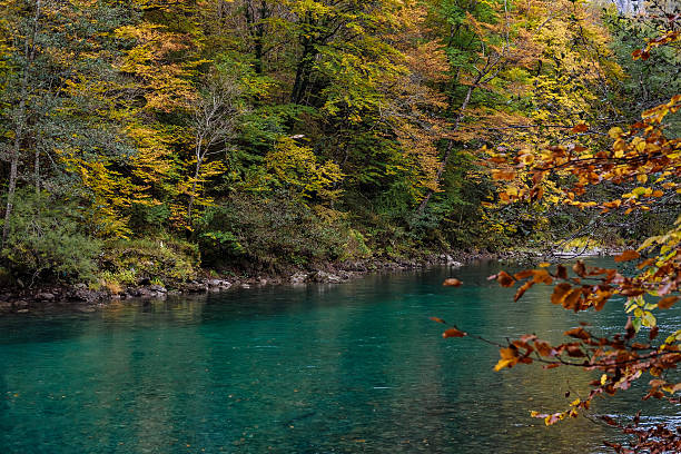 istock Autumn Tara river canyon in Montenegro 625451374