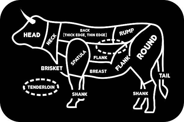 diagramy rzeźnika plakatu dla sklepu mięsnego - krowa - wound cutting beef vector stock illustrations