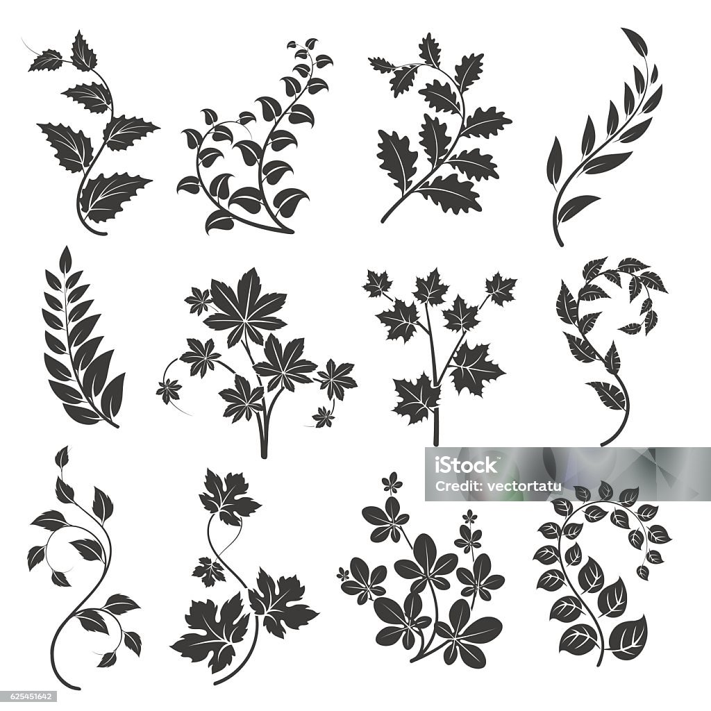 Curly branches silhouettes with leaves Curly branches silhouettes with leaves isolated on white background. Vector illustration Vine - Plant stock vector