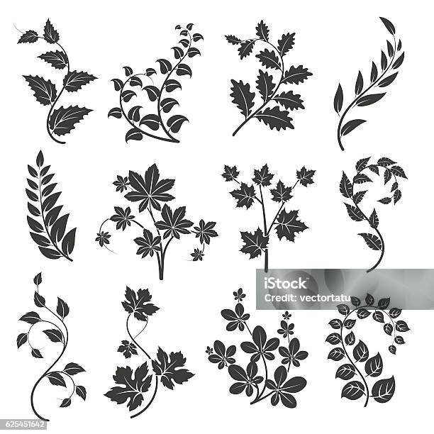 Curly Branches Silhouettes With Leaves Stock Illustration - Download Image Now - Vine - Plant, Flower, In Silhouette